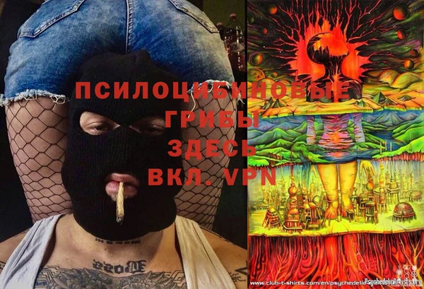 шишки Белокуриха