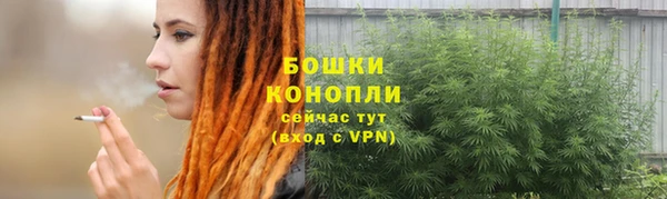 2c-b Богородицк