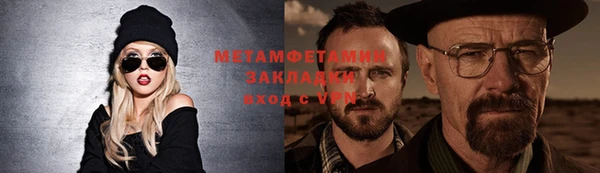 шишки Белокуриха