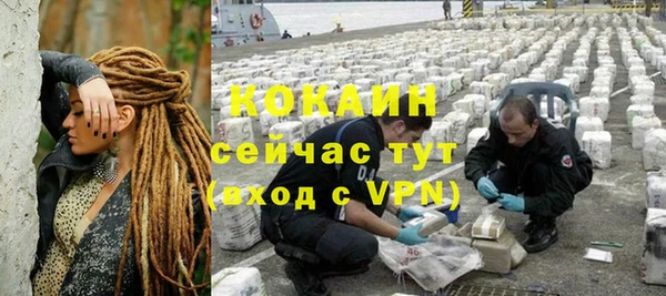 2c-b Богородицк