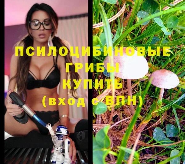 2c-b Богородицк