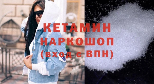 шишки Белокуриха