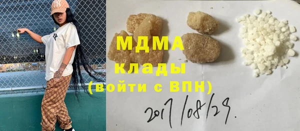 шишки Белокуриха