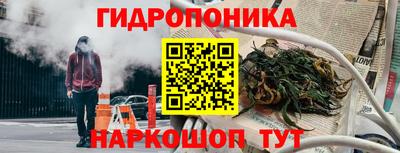 наркотики Кингисепп