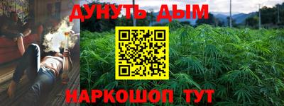 наркотики Кингисепп