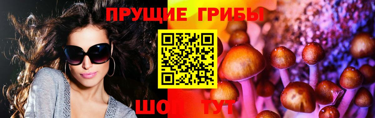 Псилоцибиновые грибы Magic Shrooms  Вход с VPN  Кировск 