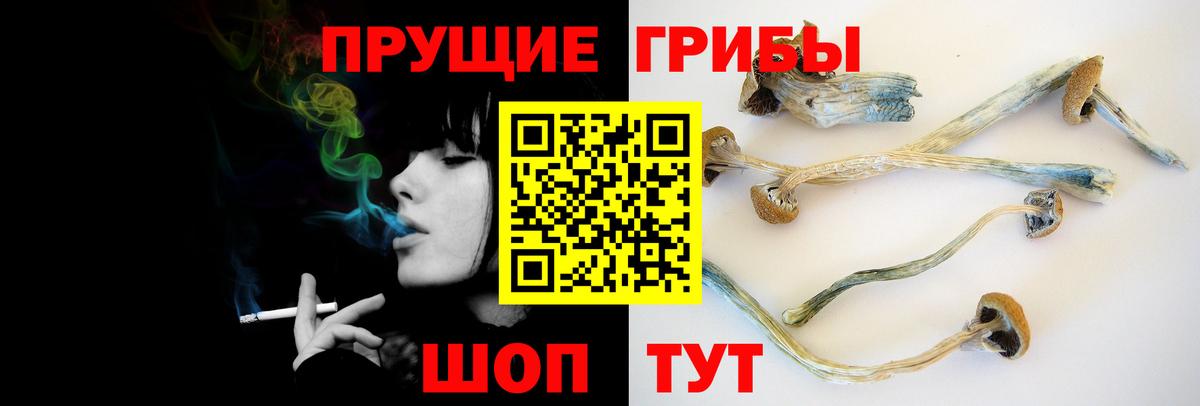 Галлюциногенные грибы MAGIC MUSHROOMS Кировск