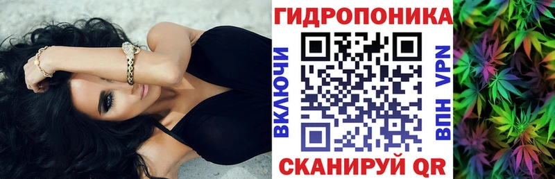 что такое   Кировск  Конопля сатива 